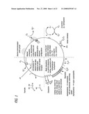 Accessing the Toxic Potential of Nanomaterials diagram and image