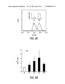 Accessing the Toxic Potential of Nanomaterials diagram and image