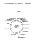 Hemipteran-and Coleopteran Active Toxin Proteins from Bacillus Thuringiensis diagram and image