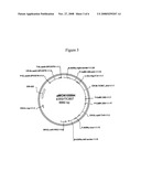 Hemipteran-and Coleopteran Active Toxin Proteins from Bacillus Thuringiensis diagram and image