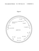 Hemipteran-and Coleopteran Active Toxin Proteins from Bacillus Thuringiensis diagram and image