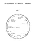 Hemipteran-and Coleopteran Active Toxin Proteins from Bacillus Thuringiensis diagram and image