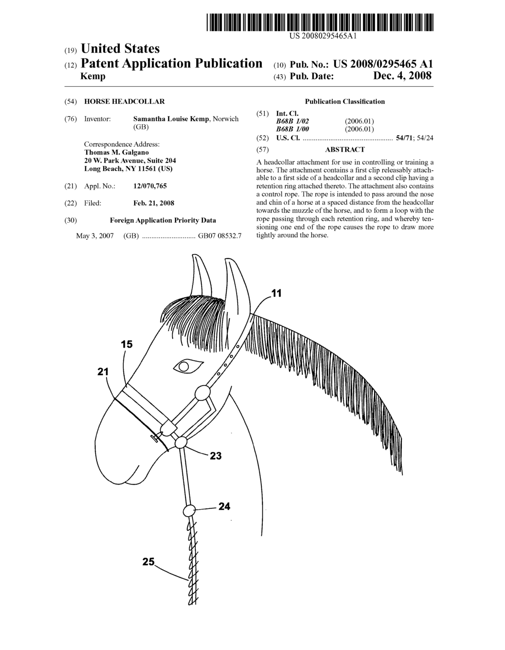 Horse headcollar - diagram, schematic, and image 01