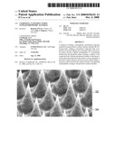 COMPOSITE, NANOSTRUCTURED, SUPER-HYDROPHOBIC MATERIAL diagram and image