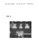 Magnification Observation Apparatus and Method For Creating High Tone Image File diagram and image