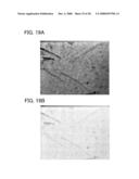 Magnification Observation Apparatus and Method For Creating High Tone Image File diagram and image