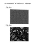 Magnification Observation Apparatus and Method For Creating High Tone Image File diagram and image