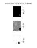 Compositions, methods and systems for making and using electronic paper diagram and image