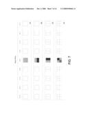 FAST DETECTION AND CODING OF DATA BLOCKS diagram and image