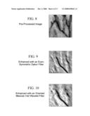 Method and apparatus for extraction and matching of biometric detail diagram and image