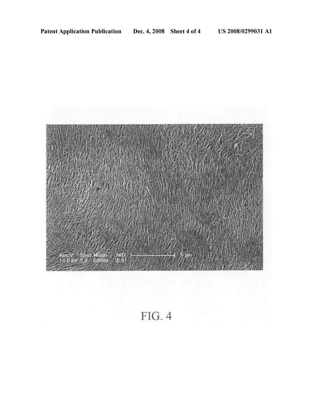 Method for making a carbon nanotube film - diagram, schematic, and image 05