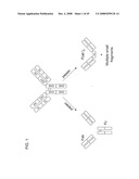 MULTIVALENT ANTIBODIES AND USES THEREFOR diagram and image