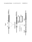 MULTIVALENT ANTIBODIES AND USES THEREFOR diagram and image