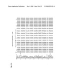 MULTIVALENT ANTIBODIES AND USES THEREFOR diagram and image