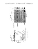 MULTIVALENT ANTIBODIES AND USES THEREFOR diagram and image