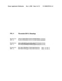 Anti-Myostatin Antibodies diagram and image