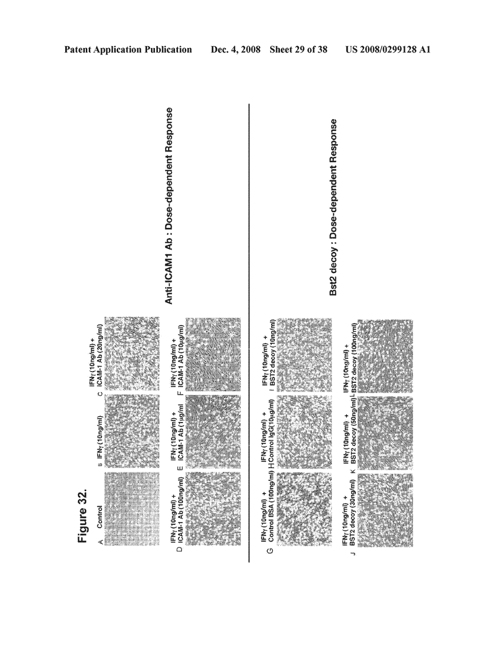 Effect of Bst2 on inflammation - diagram, schematic, and image 30