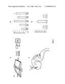 METHODS AND COMPOSITIONS FOR NERVE REGENERATION diagram and image