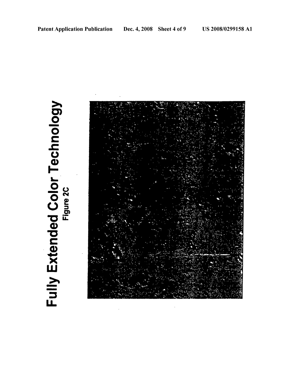 FULLY EXTENDED COLOR BULK POWDER, BULK DISPERSION AND METHOD OF USE - diagram, schematic, and image 05