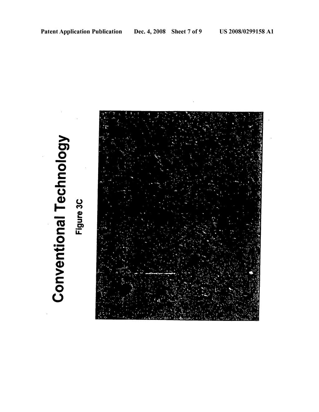 FULLY EXTENDED COLOR BULK POWDER, BULK DISPERSION AND METHOD OF USE - diagram, schematic, and image 08