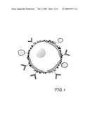 Supramolecular Complexes for Use in Acoustically Mediated Intracellular Drug Delivery in vivo diagram and image