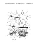 Supramolecular Complexes for Use in Acoustically Mediated Intracellular Drug Delivery in vivo diagram and image