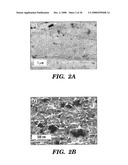 Femtosecond Laser Pulse Surface Structuring Methods and Materials Resulting Therefrom diagram and image