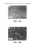 Femtosecond Laser Pulse Surface Structuring Methods and Materials Resulting Therefrom diagram and image