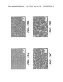 Femtosecond Laser Pulse Surface Structuring Methods and Materials Resulting Therefrom diagram and image