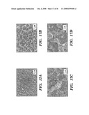 Femtosecond Laser Pulse Surface Structuring Methods and Materials Resulting Therefrom diagram and image