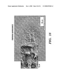 Femtosecond Laser Pulse Surface Structuring Methods and Materials Resulting Therefrom diagram and image