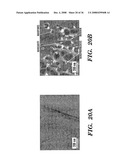 Femtosecond Laser Pulse Surface Structuring Methods and Materials Resulting Therefrom diagram and image