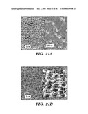 Femtosecond Laser Pulse Surface Structuring Methods and Materials Resulting Therefrom diagram and image