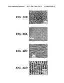 Femtosecond Laser Pulse Surface Structuring Methods and Materials Resulting Therefrom diagram and image