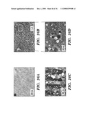 Femtosecond Laser Pulse Surface Structuring Methods and Materials Resulting Therefrom diagram and image