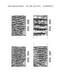 Femtosecond Laser Pulse Surface Structuring Methods and Materials Resulting Therefrom diagram and image