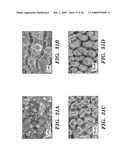 Femtosecond Laser Pulse Surface Structuring Methods and Materials Resulting Therefrom diagram and image