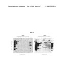 CHROMATOGRAPHIC METHODS FOR ASSESSING ADENOVIRUS PURITY diagram and image