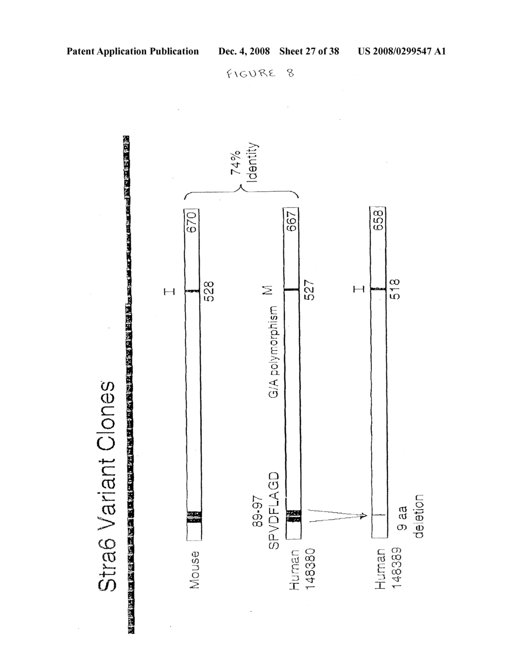 NOVEL STRA6 POLYPEPTIDES - diagram, schematic, and image 28