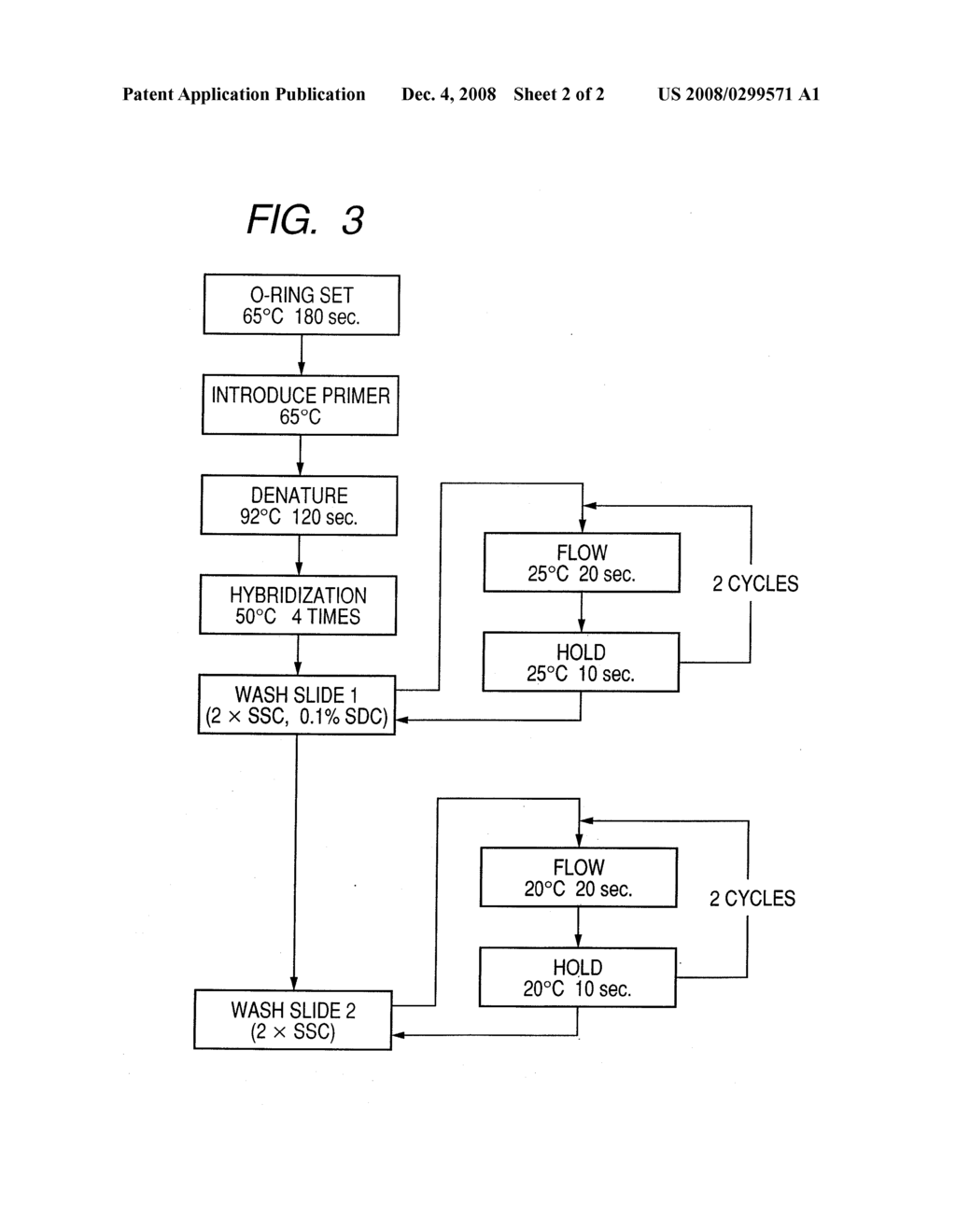 PROBE, PROBE SET, PROBE CARRIER, AND TESTING METHOD - diagram, schematic, and image 03