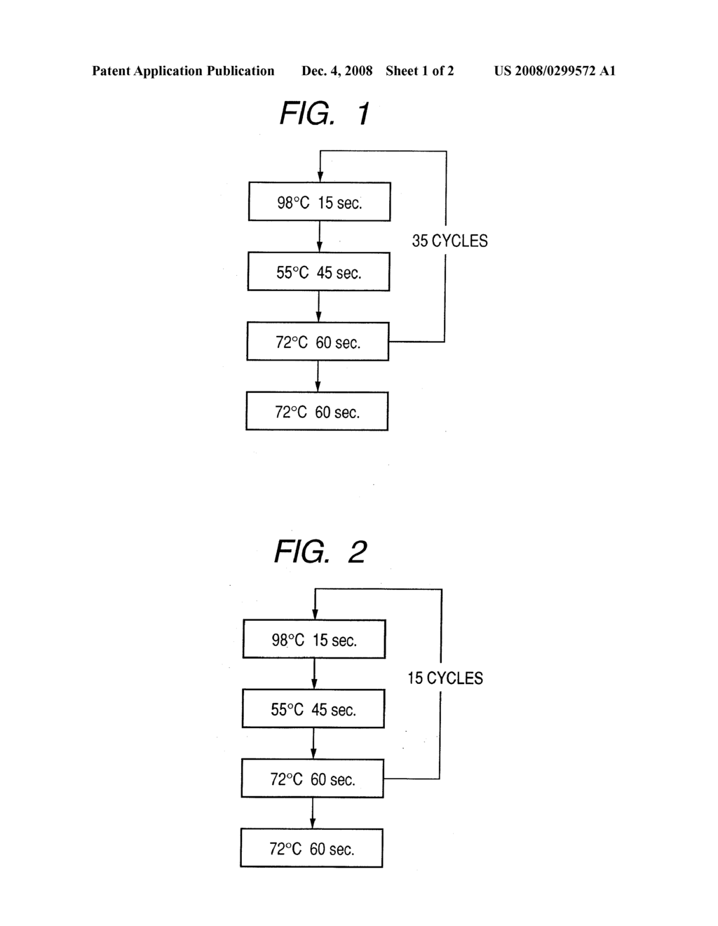 PROBE, PROBE SET, PROBE CARRIER, AND TESTING METHOD - diagram, schematic, and image 02