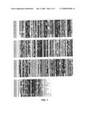 OLFACTORY RECEPTORS FOR ISOLVALERIC ACID AND RELATED MALODORANTS AND USE THEREOF IN ASSAYS FOR IDENTIFICATION OF BLOCKERS diagram and image