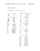 Beta1,3-N-acetyl-D-galactosamine transferase protein, nucleic acid encoding the same and method of examining canceration using the same diagram and image