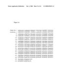 Beta1,3-N-acetyl-D-galactosamine transferase protein, nucleic acid encoding the same and method of examining canceration using the same diagram and image