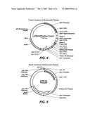 Starch Hydrolysis Using Phytase with an Alpha Amylase diagram and image