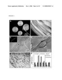 ALIGNED NANOFIBERS AND RELATED METHODS OF USE diagram and image