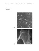 ALIGNED NANOFIBERS AND RELATED METHODS OF USE diagram and image