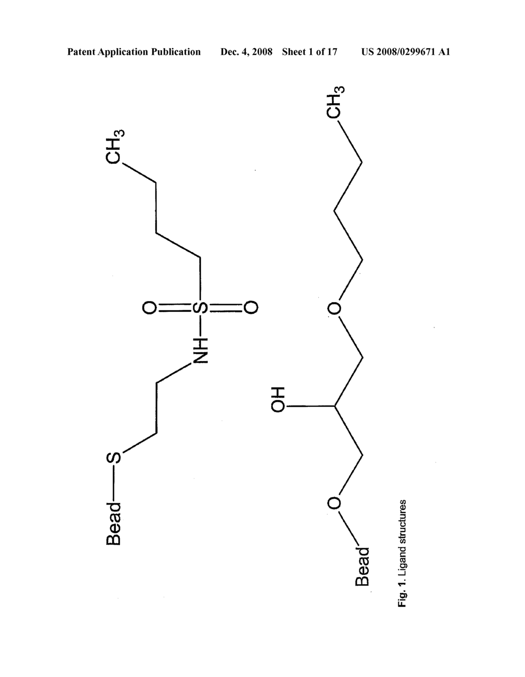 Hydrophobic Interaction Chromatography - diagram, schematic, and image 02