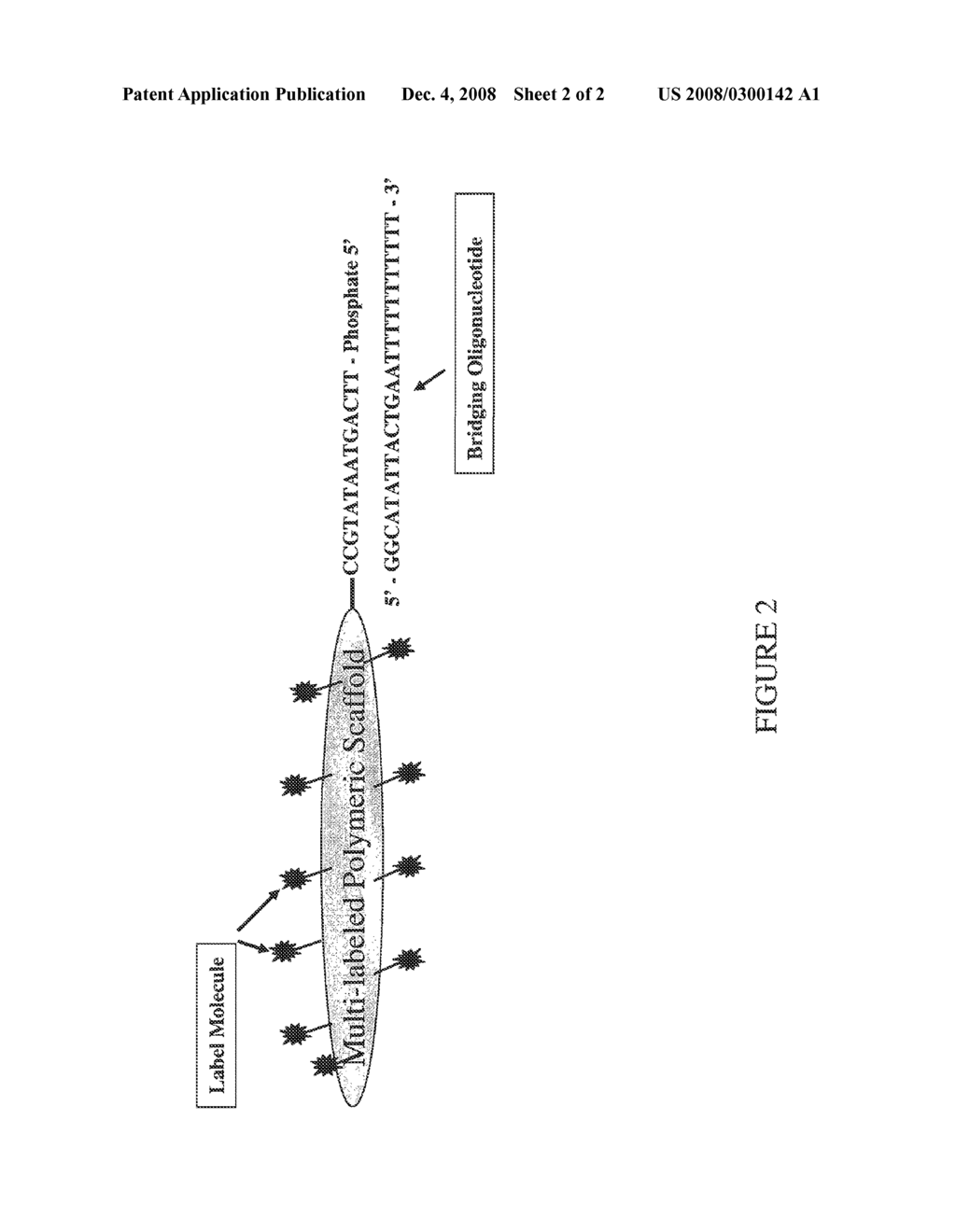 Methods, Reagents and Kits for Detection of Nucleic Acid Molecules - diagram, schematic, and image 03