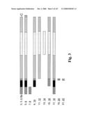 Gastrointestinal proliferative factor and uses thereof diagram and image